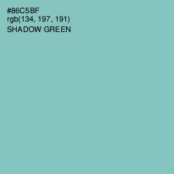 #86C5BF - Shadow Green Color Image